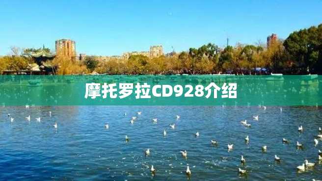 摩托罗拉CD928介绍 摩托罗拉CD928介绍