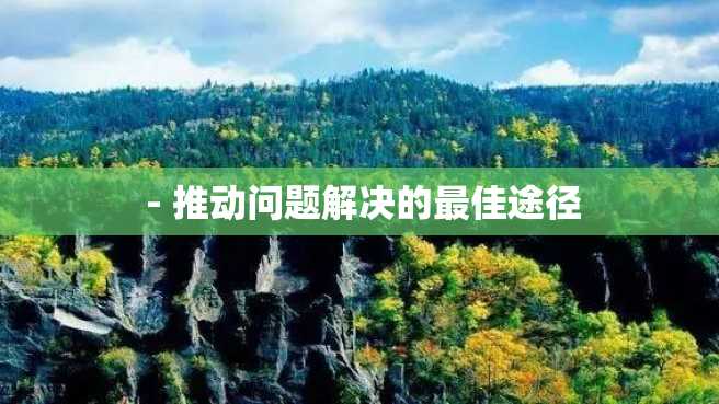  - 推动问题解决的最佳途径