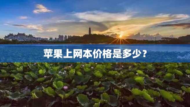 苹果上网本价格是多少? 苹果上网本价格是多少?