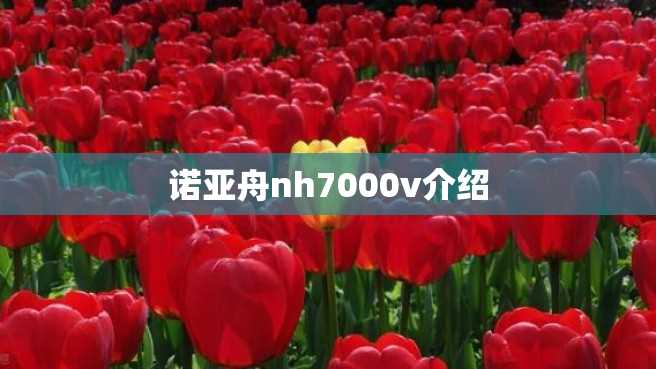 诺亚舟nh7000v介绍 诺亚舟nh7000v介绍