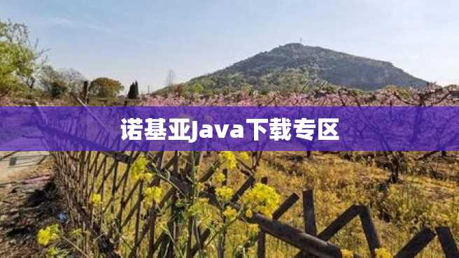 诺基亚Java下载专区 诺基亚Java下载专区