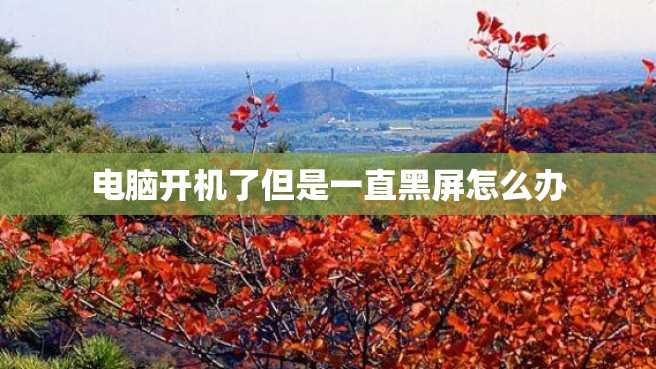电脑开机了但是一直黑屏怎么办 电脑开机了但是一直黑屏怎么办