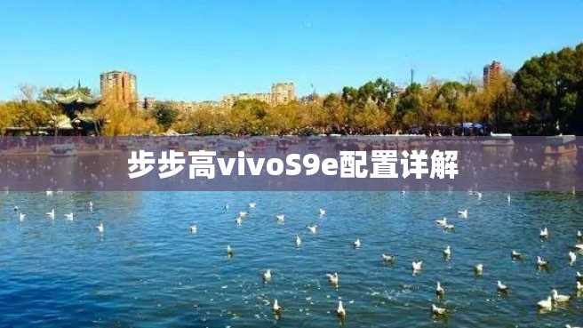 步步高vivoS9e配置详解 步步高vivoS9e配置详解