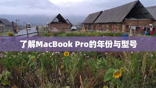 了解MacBook Pro的年份与型号 了解MacBook Pro的年份与型号