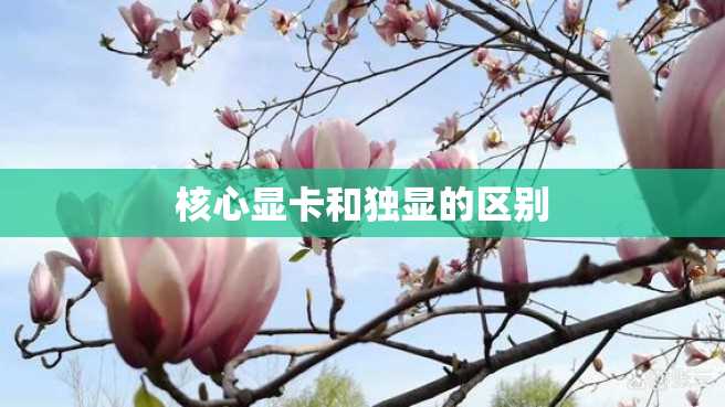 核心显卡和独显的区别 核心显卡和独显的区别