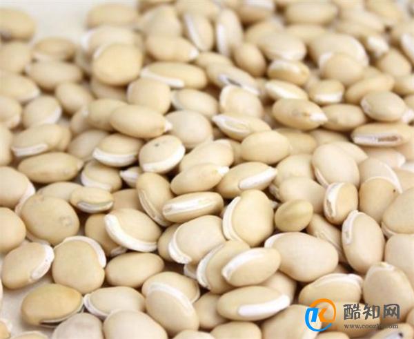 湿气太重吃什么排湿最快 吃什么排湿气最好最快