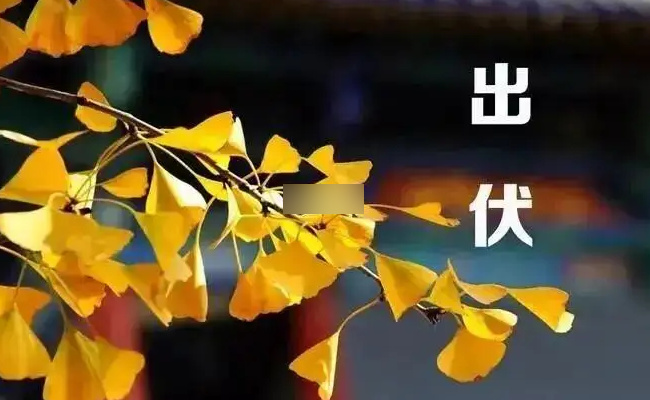 超长三伏天终于结束了 到了秋季要如何做呢