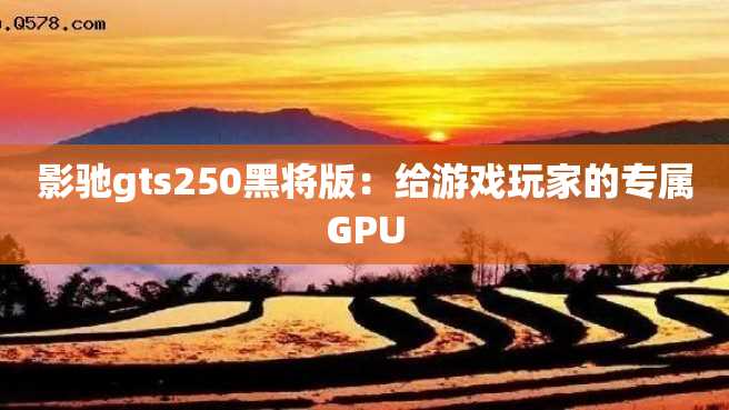 影驰gts250黑将版:给游戏玩家的专属GPU 影驰gts250黑将版:给游戏玩家的专属GPU