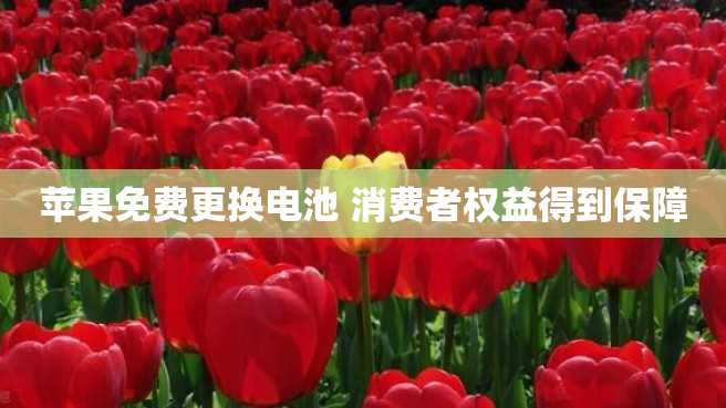 苹果免费更换电池 消费者权益得到保障 苹果免费更换电池 消费者权益得到保障
