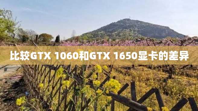 比较GTX 1060和GTX 1650显卡的差异 比较GTX 1060和GTX 1650显卡的差异