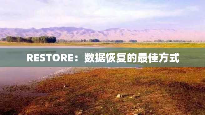 RESTORE:数据恢复的最佳方式 RESTORE:数据恢复的最佳方式