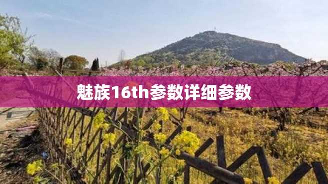 魅族16th参数详细参数 魅族16th参数详细参数