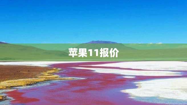 苹果11报价 苹果11报价