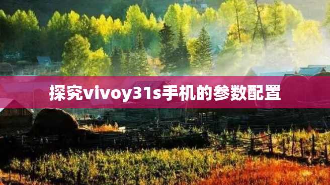 探究vivoy31s手机的参数配置 探究vivoy31s手机的参数配置