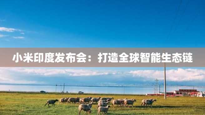 小米印度发布会:打造全球智能生态链 小米印度发布会:打造全球智能生态链