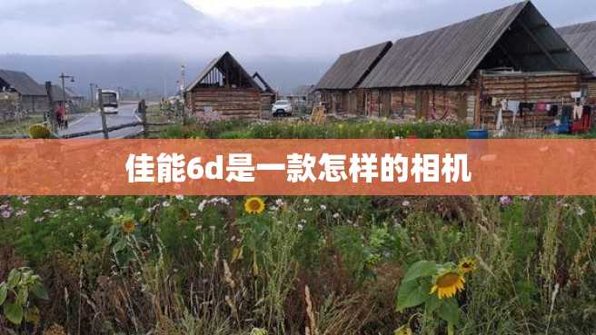 佳能6d是一款怎样的相机 佳能6d是一款怎样的相机