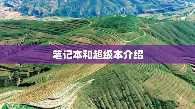 笔记本和超级本介绍 笔记本和超级本介绍