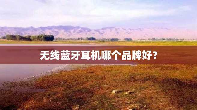 无线蓝牙耳机哪个品牌好？