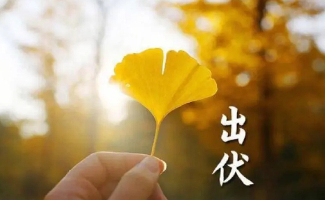 超长三伏天终于结束了 到了秋季要如何做呢