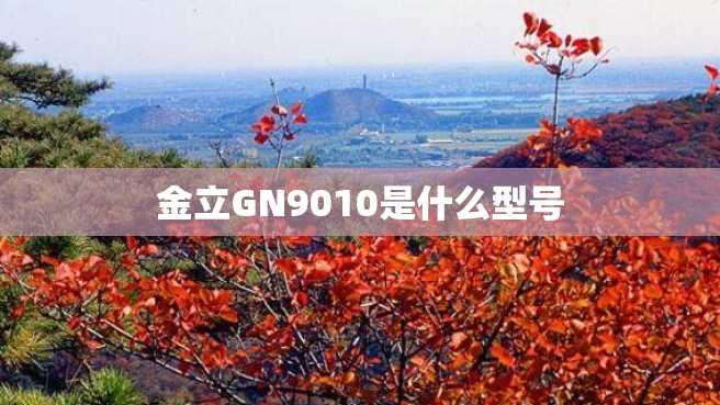 金立GN9010是什么型号 金立GN9010是什么型号