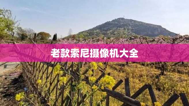 老款索尼摄像机大全 老款索尼摄像机大全