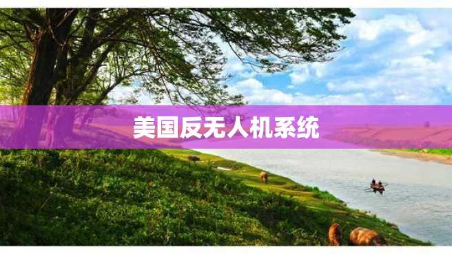 美国反无人机系统 美国反无人机系统