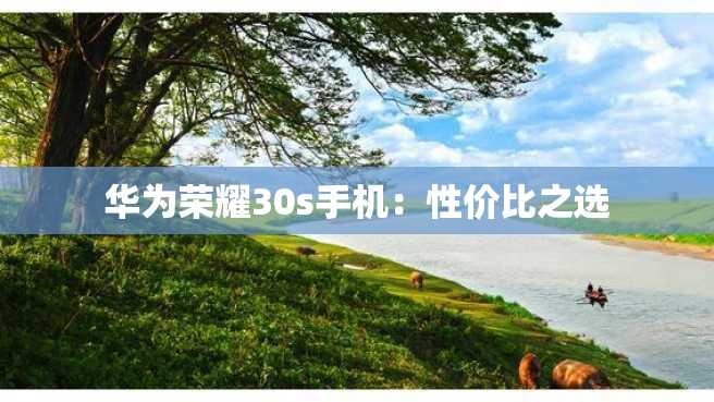 华为荣耀30s手机:性价比之选 华为荣耀30s手机:性价比之选