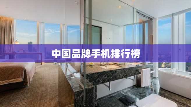 中国品牌手机排行榜 中国品牌手机排行榜