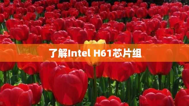 了解Intel H61芯片组 了解Intel H61芯片组