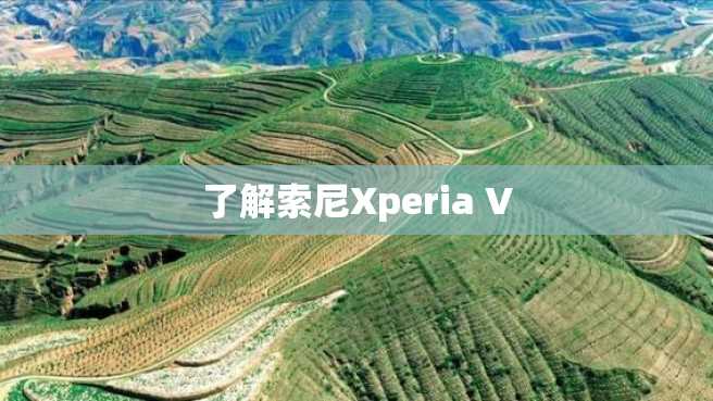 了解索尼Xperia V 了解索尼Xperia V
