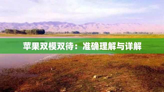 苹果双模双待:准确理解与详解 苹果双模双待:准确理解与详解