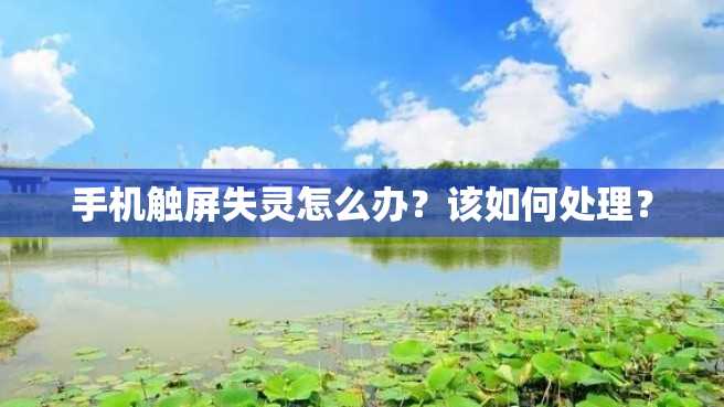 手机触屏失灵怎么办?该如何处理? 手机触屏失灵怎么办?该如何处理?