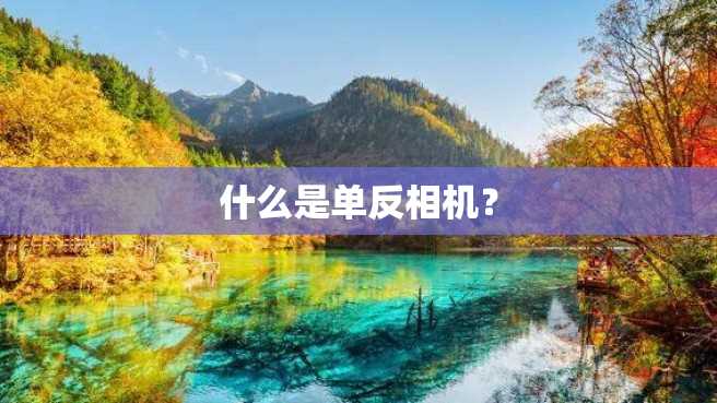 什么是单反相机? 什么是单反相机?