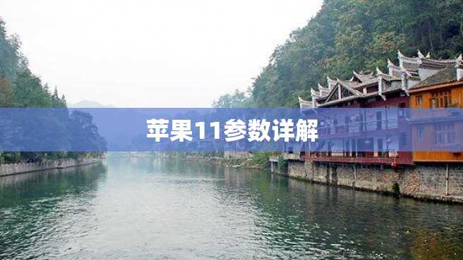 苹果11参数详解 苹果11参数详解
