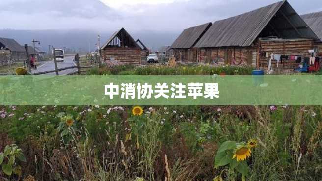 中消协关注苹果 中消协关注苹果