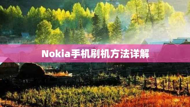 Nokia手机刷机方法详解 Nokia手机刷机方法详解