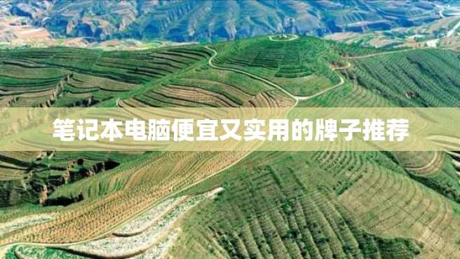 笔记本电脑便宜又实用的牌子推荐 笔记本电脑便宜又实用的牌子推荐