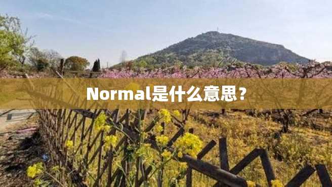 Normal是什么意思? Normal是什么意思?