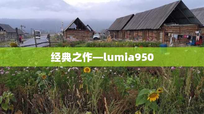 经典之作—lumia950