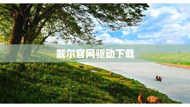戴尔官网驱动下载