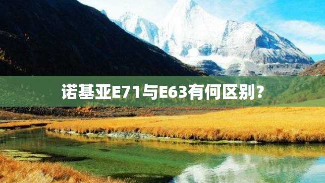 诺基亚E71与E63有何区别? 诺基亚E71与E63有何区别?