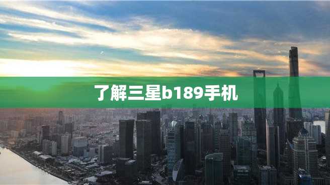 了解三星b189手机 了解三星b189手机