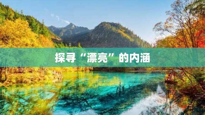 探寻“漂亮”的内涵 探寻“漂亮”的内涵