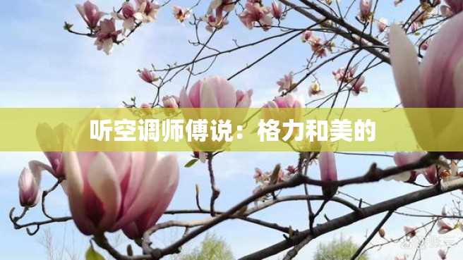 听空调师傅说:格力和美的 听空调师傅说:格力和美的