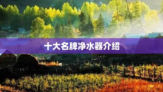 十大名牌净水器介绍 十大名牌净水器介绍