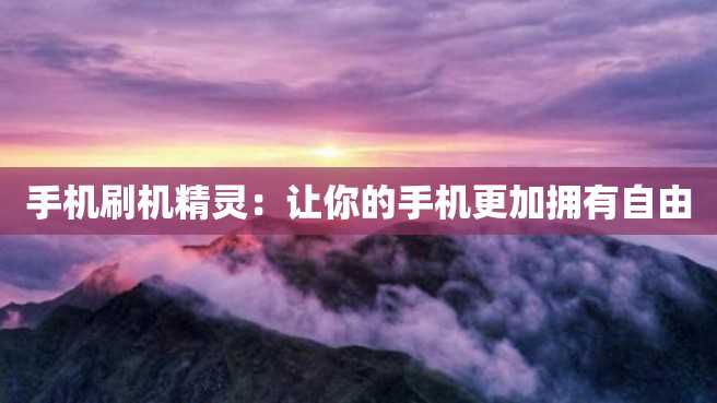 手机刷机精灵：让你的手机更加拥有自由