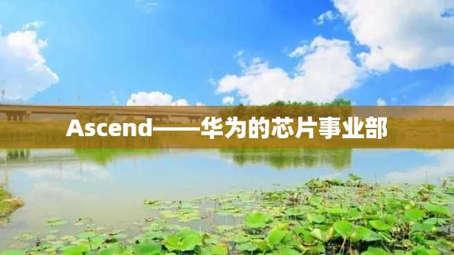 Ascend——华为的芯片事业部 Ascend——华为的芯片事业部