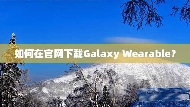 如何在官网下载Galaxy Wearable？