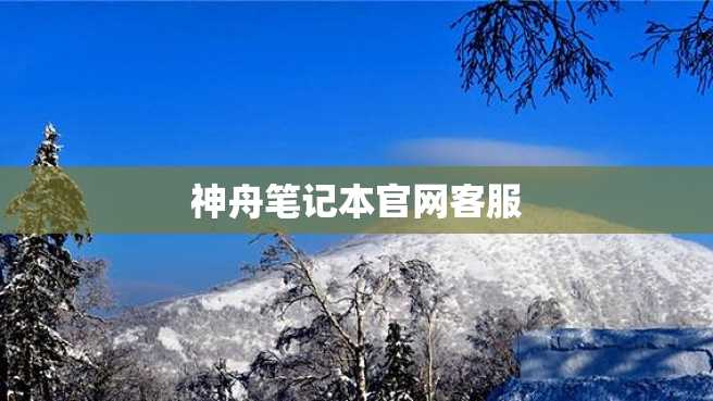 神舟笔记本官网客服 神舟笔记本官网客服