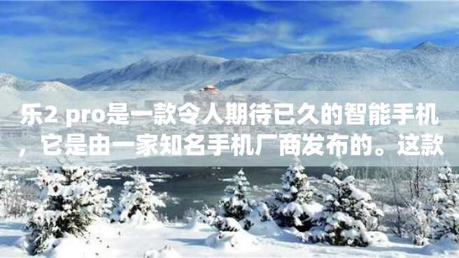 乐2 pro是一款令人期待已久的智能手机，它是由一家知名手机厂商发布的。这款手机有哪些特点，它能为日常生活带来哪些便利呢？下面就让我们一同来看看吧。